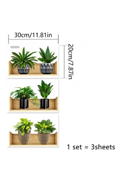 optana Raflı Bitki Tasarımlı Yapışkanlı Sticker 20X30 Cm 3lü Set Ev Dekorasyonu Çiçek Duvar Çıkartması