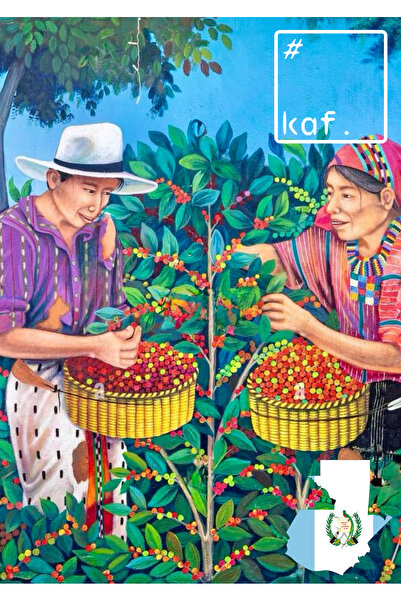 KAF by NOVIQUE Cafea de specialitate Single Origin Guatemala Pampojila Anaerobic