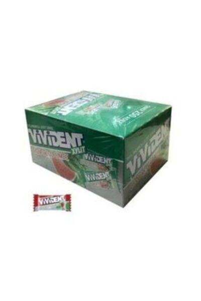 Vivident Single Watermelon Flavored Chewing Gum (250 Pieces)