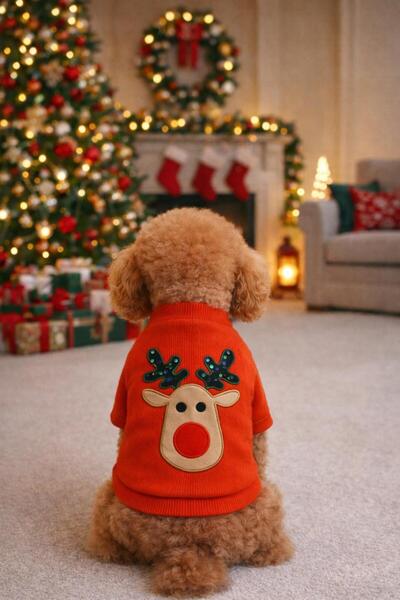 GedyCo Red Deer Küçük Irk Köpek Likralı Sweatshirt