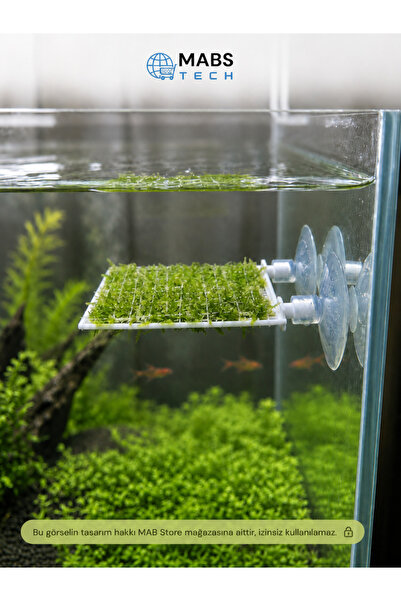 Mabs Tech Vantuzlu Moss Balkonu Tel Tutucu 3D Moss Rafı – 5x5 Moss Tellerinizi Cama Şık ve Kaymaz Şekilde Sabitleyin!