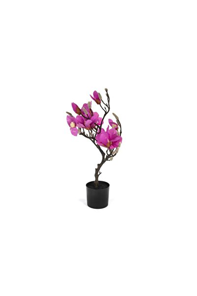 Mikasa Moor FUŞYA YAPAY MANOLYA AĞACI 60 CM