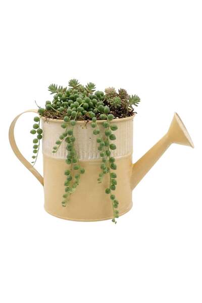 Koopman Ghiveci metalic stropitoare 13x25cm crem