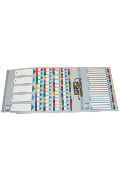 Esselte Index Mylar A4 cu taste laminate 1-31