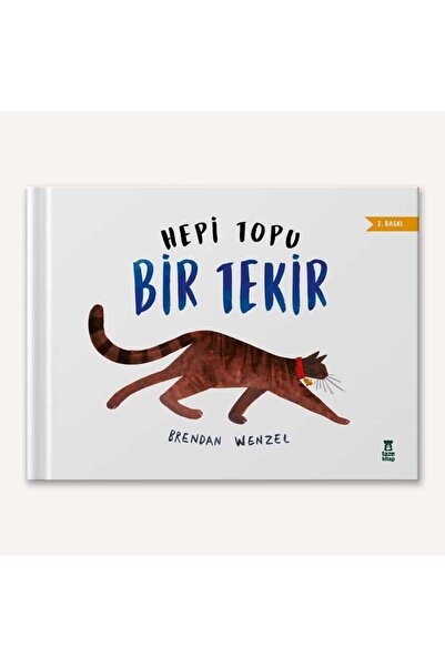 Taze Kitap Hepi Topu Bir Tekir