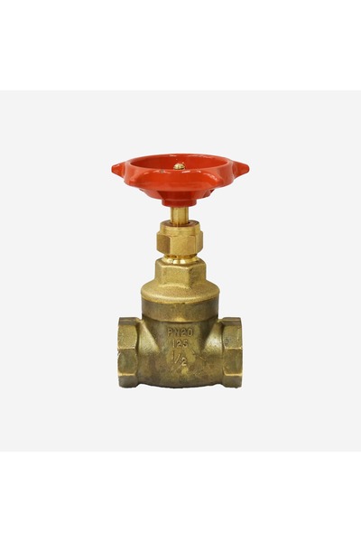 ENGLAND Gate Valve ½ Long Handle | Pegler