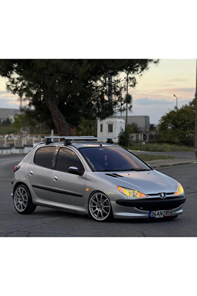 Drs Tuning Coil-Ex Peugeot Uyumlu 206 06.1999-Sonrası Spor Yay 45 Mm