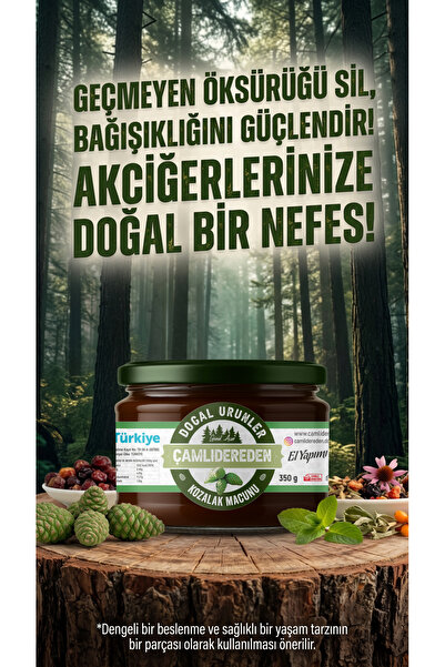 Çam Kozalağı Macunu