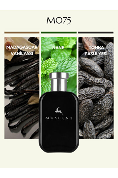 MUSCENT M075 Eross Men 50 ml.
