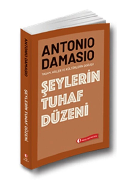Timaş Yayınları Şeylerin Tuhaf Düzeni