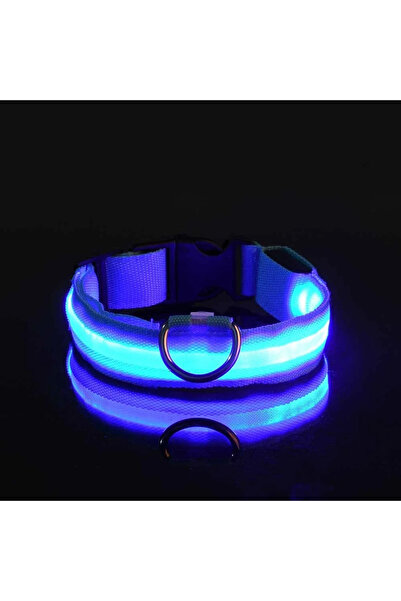 Choice XL neck 42-56cm Blue Dog Collar Nylon LED Night Safety Flashing Glow I...