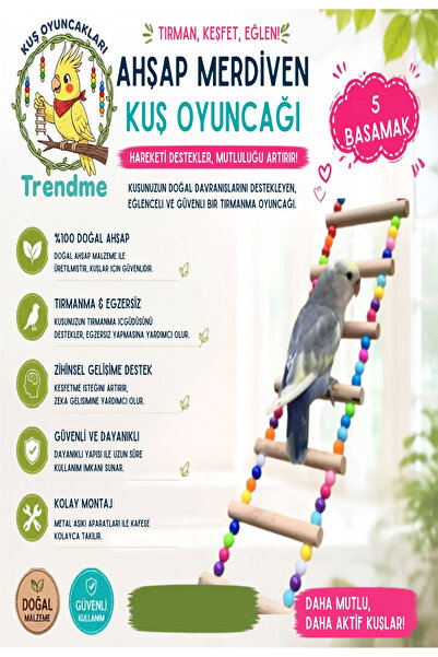 UniqBirdToys Trendme Plastic Beaded Bird Ladder (5 Steps)
