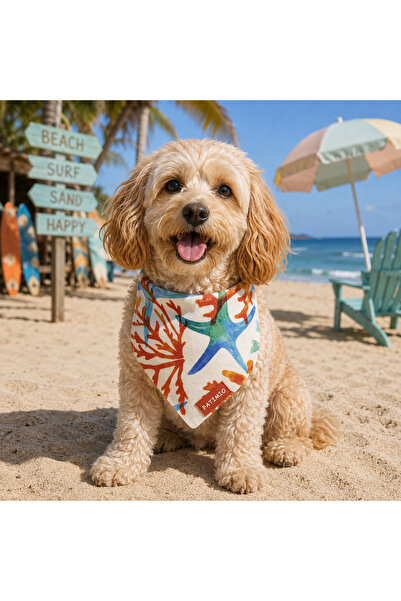 PATİMİO Summer Cat And Dog Leash Scarf Bandana