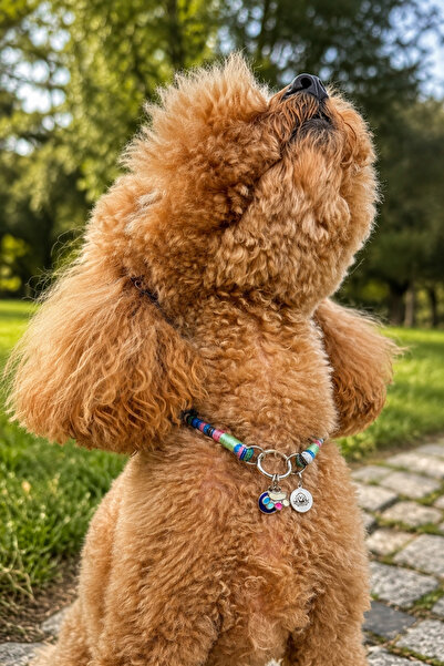 JesPawty Jesspecial Mavi İp Halat Kedi Köpek Kolyesi Charm Uçlu Gümüş Rengi