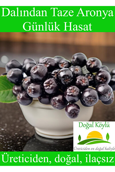 Doğal Köylü Dalından Taze Aronya Meyvesi 250gr - Üreticiden, Doğal, İlaçsız