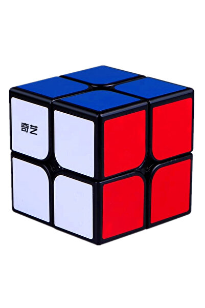 Choice3 2x2 QiYi Magic Cube 2x2 3x3 4x4 5x5 Alien Magic Cube Maple Leaf Slant...
