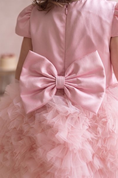 CELYSE Pink Tulle Short Sleeve Baby Girl Dress - Princess