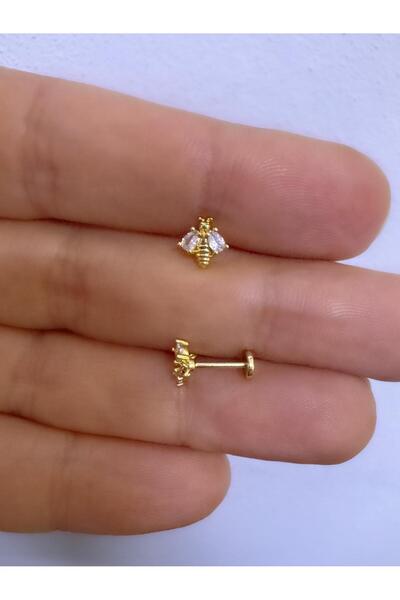 Arescollection 1 ADET ZİRKON TAŞLI ARI TRAGUS KIKIRDAK LOBE UYUMLU PİERCİNG