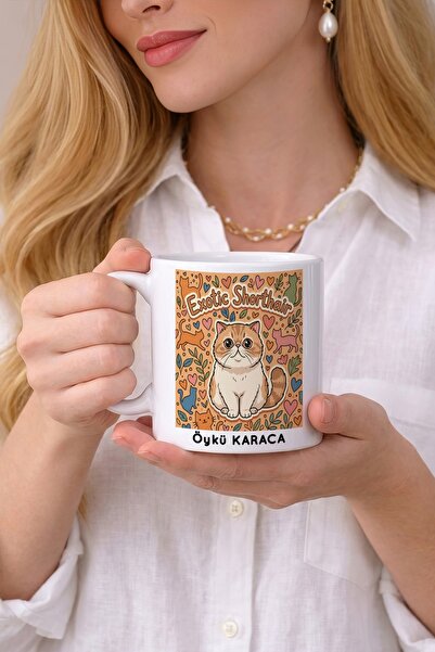 Kirbi Reklam Animal Exotic Shorthair Exotic Short-Haired Cat Printed Porcelai...