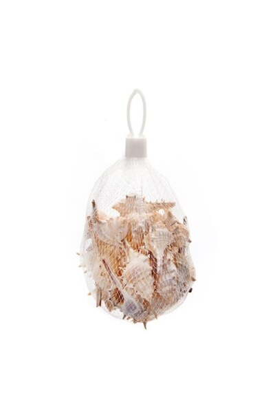 OEM Decor acvariu, Scoică, 5-8cm, 150gr/pachet