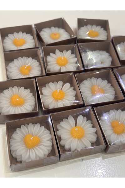magnocandles 15 Adet Kraft kutulu Papatya Mum Hediyelik, Nilan, Düğün, Sünnet...