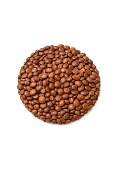 NMT HERBS بذور السدر 100 جرام