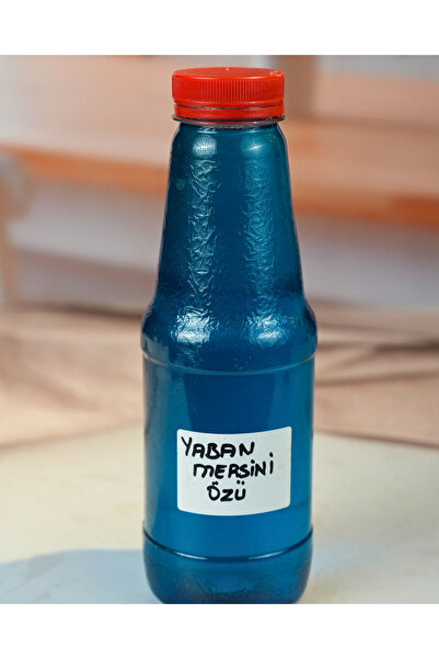 birgi köy evi Birgi Köyevi Doğal Yaban Mersini Özü Şurubu İçecek Konsantresi ...