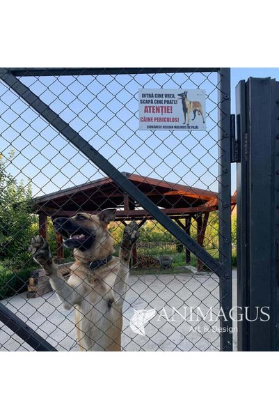 OSM Placă de avertizare: Caine Malinois - Intrare interzisă?