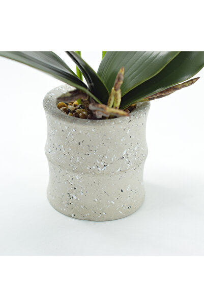 Naimeed Company Orhidee decorativă în ghiveci ceramic, 35 cm, Naimeed D4849, Galben