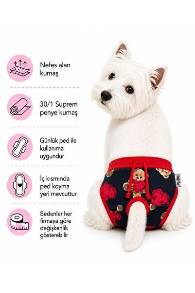 DOGİ&DOG Küçük Irk Sweety Bear Köpek Regl Çamaşırı Köpek Kıyafeti (1-10KG)
