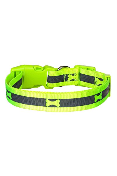 Zumzeria Fluorescent Yellow Dog Collar Gray