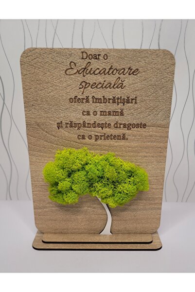 LiidDesign Ornament cu licheni pentru Educatoare