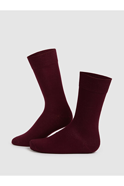 Cacharel Burgundy Socks 50316177-900