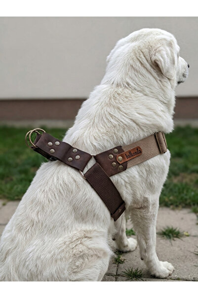 balkonda Dog Chest Harness Large & Giant Breed Adjustable 4.5 cm Width Palask...