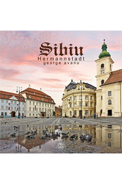 STAGE ART Album Sibiu (mic)