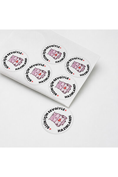 Fatofotofan Gonca Baykuş Çizimli Sizin İçin Hazırlandı Paketleme Stickerı