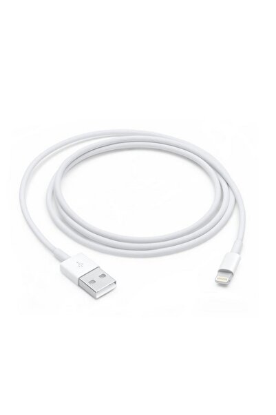 Apple Cablu Lightning la USB (1? m