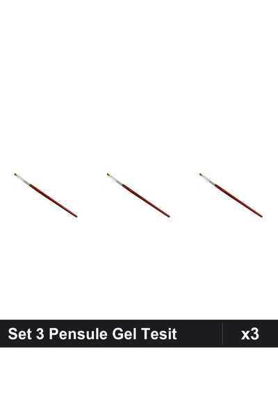NAİLS Set 3 Pensule Gel Tesit Manichiură, Nr. 2 4 6, Aplicare Profesională UV...