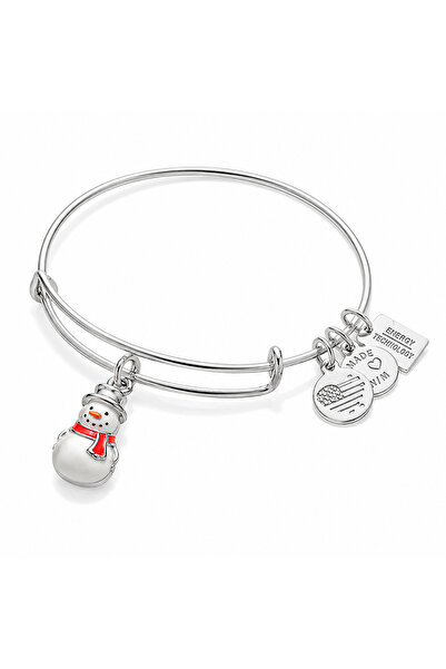 Alex and Ani Bratara Metal A16EB91SS