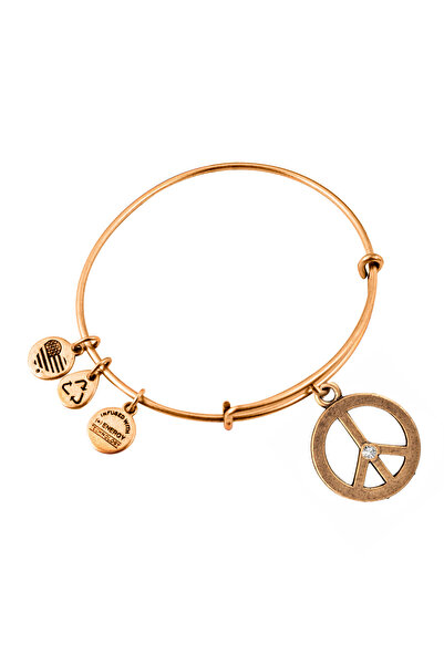 Alex and Ani Bratara Metal A09EB139RG
