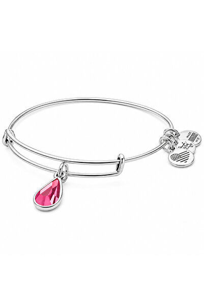 Alex and Ani Bratara Metal A17EB49RS