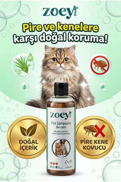 ZOEY PET PRODUCTS Zoey Kedi Pire Kene Şampuanı – Pire ve Kene Önleyici Doğal ...