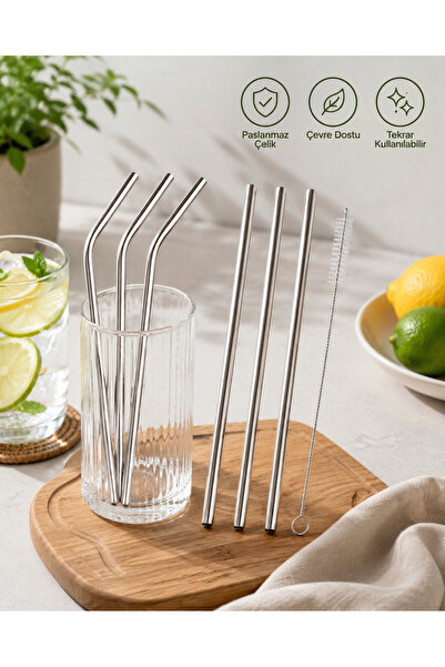 DailyHome Paslanmaz Çelik Metal Pipet Seti 6’lı Temizlik Fırçalı
