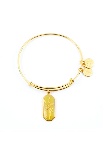 Alex and Ani ΓΥΝΑΙΚΕΙΟ ΒΡΑΧΙΟΛΙ A14EB96YG (20ΕΚ.)