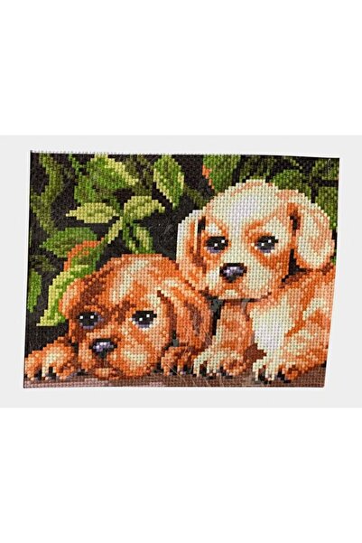 iğne izi Set de broderie cu punct în cruce cu model – Kit de broderie manuală...