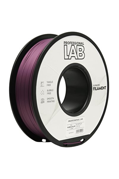 Professional LAB Filament Profesional LAB PLA Pruna Mov 1.75 mm 1 kg