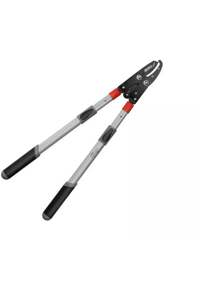 DEDRA EXIM Foarfeca nicovalДѓ pentru crengi, cu transmisie, mГўner telescopic