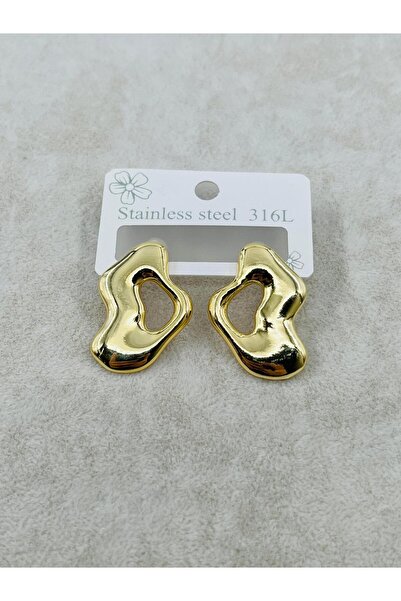 Bozhi Steel Earrings 438 Silver Special Gift Gold