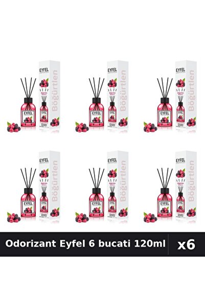 Eyfel Set 6 Odorizant Camera cu Betisoare Fructe de Padure 120ml