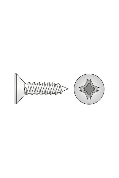 SCHAEFER Set 1000 x Surub Cap Inecat pentru Tabla 7982 Inox A2 -2.9 x 9.5